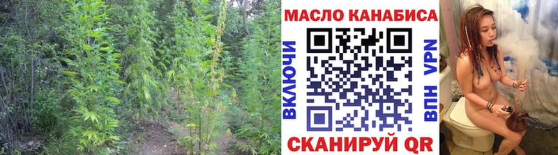 Купить закладки  Мамадыш  ТГК Wax 