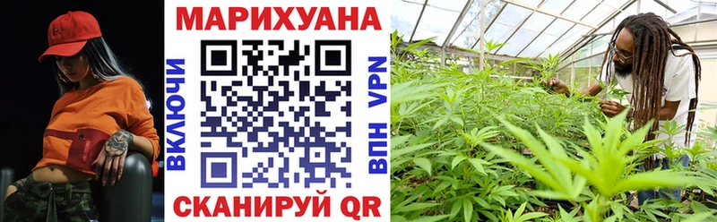 Канабис сатива  Купить закладки  Мамадыш 